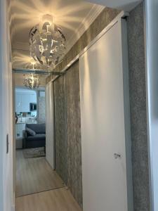 Amazonas, IBC, Aeroporto Congonhas, Expo Transamerica, PQ da Monica,, PNE, THE TOW, LOLLA PALLUZA