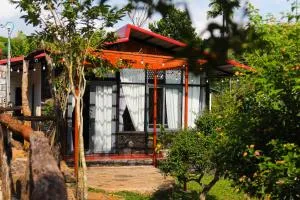 Nhà của bông và gạo - Tang Jran Dring