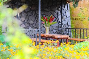 Nhà của bông và gạo