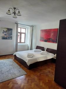 Apartment 1 room in Casa Sforii Brasov