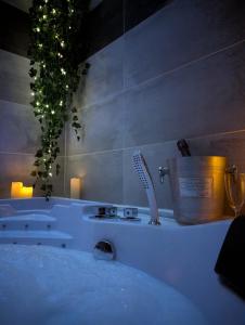 Appartements Appartement cosy en montagne, escapade romantique : photos des chambres