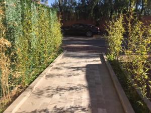 Sumptuous appart Heart of Hivernage - Pool