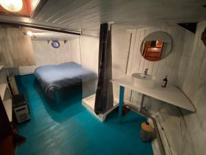 Bateaux Peniche Amadeus conviviale et cosy , proche de Disney et de Paris : photos des chambres