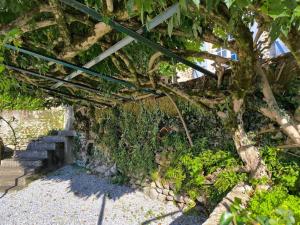Villas Maison exceptionnelle le Peyret -Vue Pyrenees-Jardin-Piscine : photos des chambres