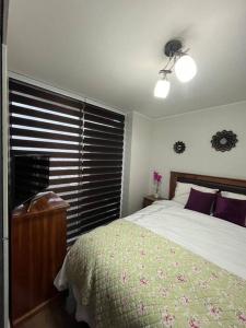 Departamento 1 dorm en Santiago