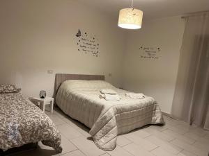B&B Terry Home