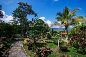 Villa Nelly - Вільєта