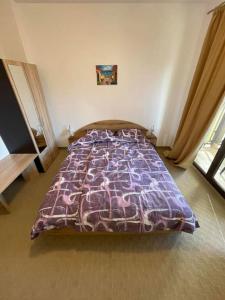 South Mountain Apartment