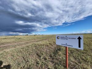 Africa Safari Serengeti Kusini