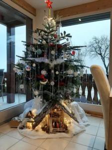 Chalet avec vue panoramique à 5 min des pistes de la station des Brasses