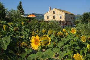 Ferienhaus Piagge Del Sole Montecarotto Italien