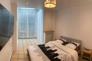 Appartements Magnifique appartement : photos des chambres