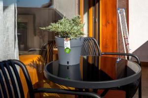 One Bedroom Apartment Pirin Lodge