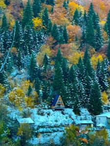 ლენტეხის მთის სასტუმრო - Lentekhi Mountain Inn