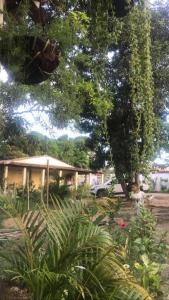 Casa - Linda Chácara temporada - Paripueira Alagoas