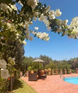 Villa Apollonia - Blissful Garden Paradise with Pool nestled in Nature - Ouguenguemt