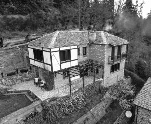 ΤΟ ΑΡΧΟΝΤΙΚΟ