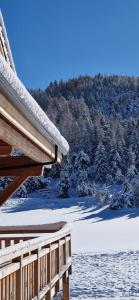 Appartements Appartement lumineux neuf dans bas de chalet LE DOUGLAS : photos des chambres