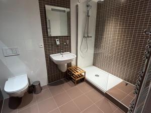 Appartements Duplex spacieux, 20 pers, 10 Multi Pass offerts, proche pistes, garage - FR-1-693-95 : photos des chambres