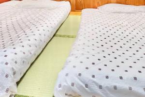 上野公园旁日式民宿3