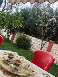 Eren Villa - 萨卡里亚