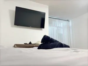 BDR residence - Balş