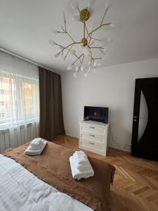 Apartament Olive 7
