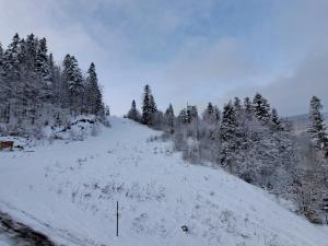 OWysoko - Apartamenty z Widokiem 200 m od tras Szczyrk Mountain Resort