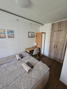 Modern Apartment S22