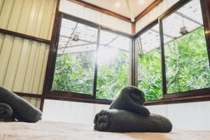 Peaceful Jungle Villa Conga - Pool & Parking for 2 persons