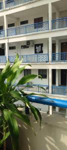 ZNZ Oasis Homestay