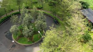 Nice and Elegant Studio at 9th Floor Ciputra International Apartment By Travelio