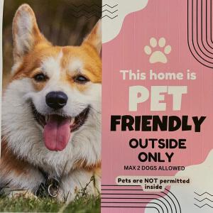 Da Ja Surf - Pet Friendly