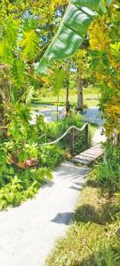 Sweet Garden