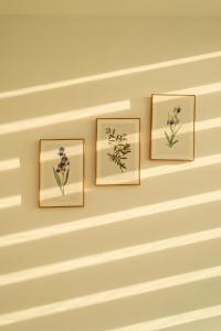 Will homestay, Nera Garden Huế