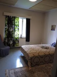 OuluHostel AlliMaria - 肯佩莱