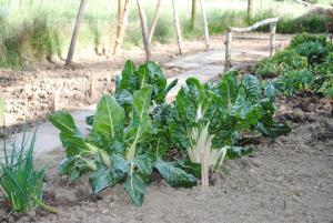 Haus Anna Ferienhaus Westerwald