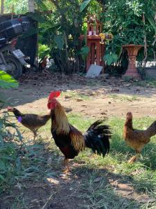 Comfy room in Wat Baan Fhon