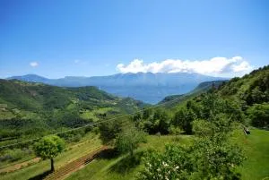 Rustico Massimo - Theater Home - San Michele