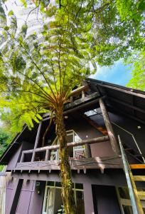 King Fern Cottage