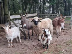 Studio 2 personnes au calme dans le Pilat - Vérin