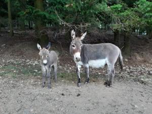 Studio 2 personnes au calme dans le Pilat