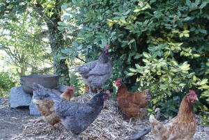 Studio 2 personnes au calme dans le Pilat