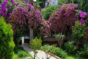 Bright and Cozy 2BR Apt In The Center Of Buyukada