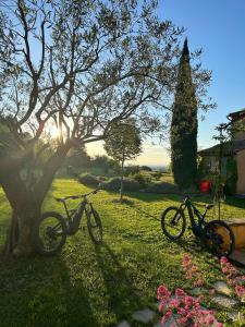 B&B / Chambres d'hotes Au Clair Ventoux B & B - SPA : photos des chambres