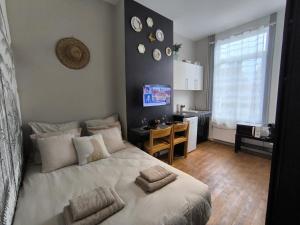 Appartements LeRelaisdOdile - Suite Studios Confort - Ideal PRO & Couple - LILLE VAUBAN : photos des chambres
