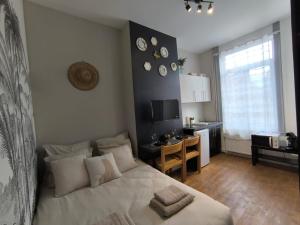 Appartements LeRelaisdOdile - Suite Studios Confort - Ideal PRO & Couple - LILLE VAUBAN : photos des chambres