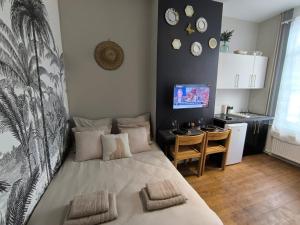 Appartements LeRelaisdOdile - Suite Studios Confort - Ideal PRO & Couple - LILLE VAUBAN : photos des chambres