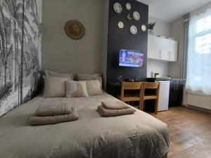Appartements LeRelaisdOdile - Suite Studios Confort - Ideal PRO & Couple - LILLE VAUBAN : photos des chambres