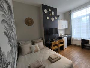 Appartements LeRelaisdOdile - Suite Studios Confort - Ideal PRO & Couple - LILLE VAUBAN : photos des chambres